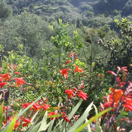 Le Giare מונטרוסו אל מארה