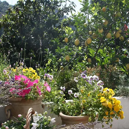 Bed and Breakfast Le Giare Μοντερόσο αλ Μάρε