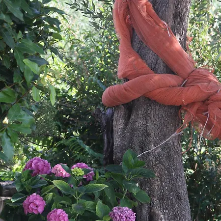 Bed & Breakfast Le Giare *