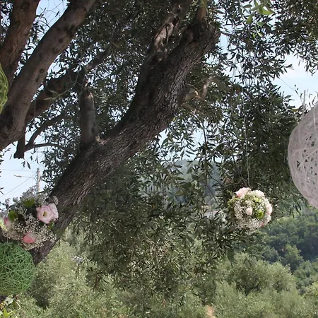 Bed & Breakfast Le Giare