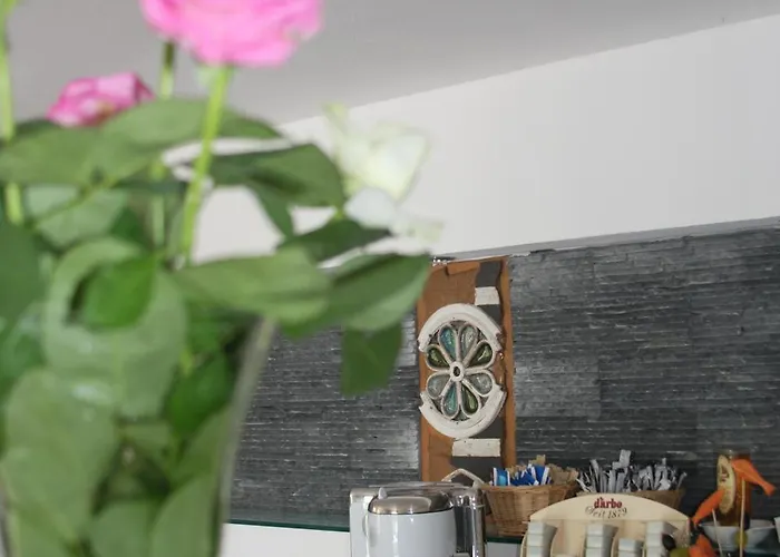 乐罐住宿加早餐酒店