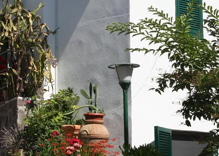 住宿加早餐酒店 乐罐住宿加早餐酒店