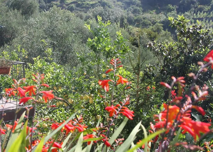 乐罐住宿加早餐酒店 蒙特罗索阿尔马雷