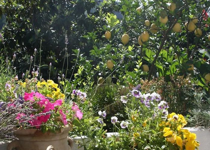 住宿加早餐酒店 乐罐住宿加早餐酒店 蒙特罗索阿尔马雷