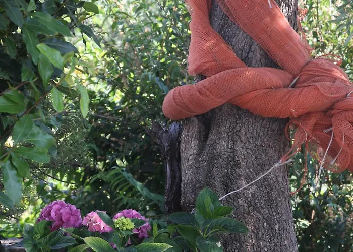 住宿加早餐酒店 乐罐住宿加早餐酒店 4*